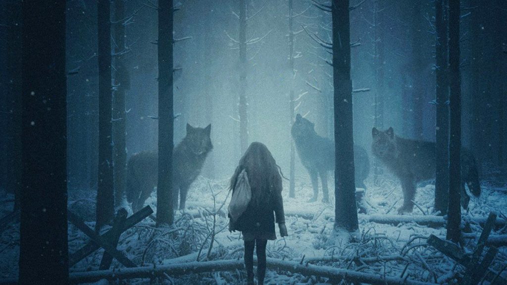 Misha and the Wolves Review
